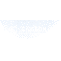 Caisson Elektronik